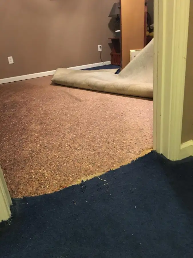 Carpet pad removal revealing water damage during Water Mitigation Services in West Hollywood