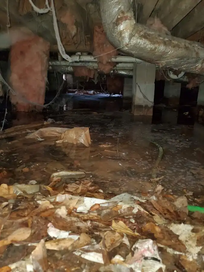 Crawl space flood assessment for Commercial Water Damage Restoration in West Hollywood